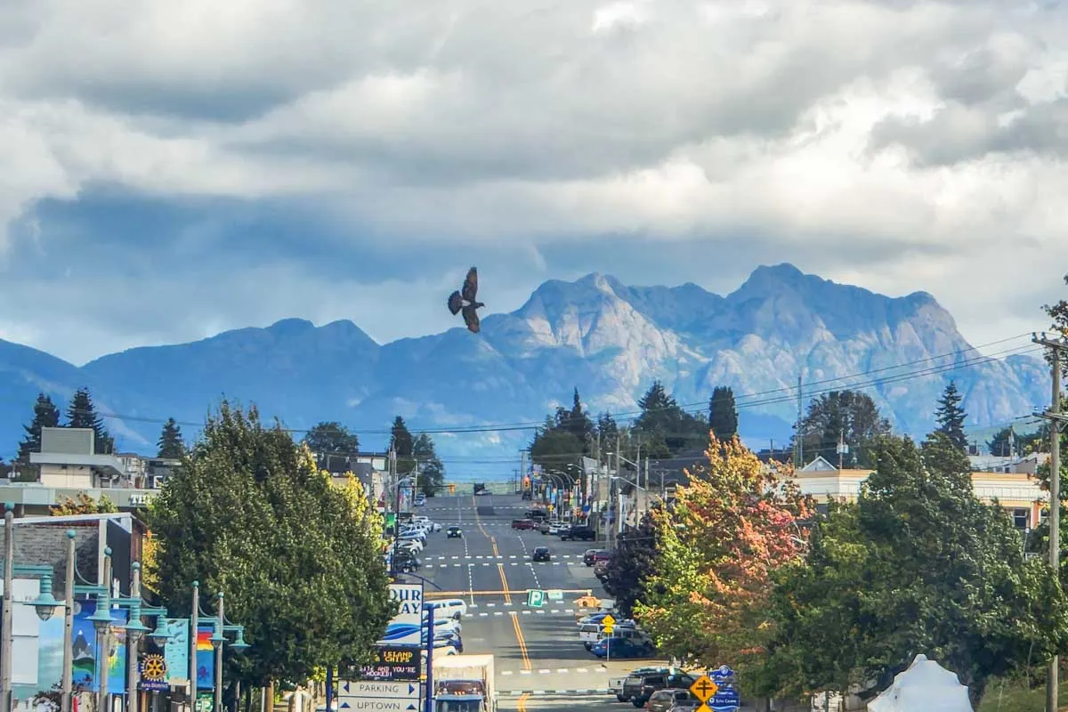 ALPHA IT managed IT services location on Vancouver Island